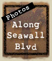 Seawall blvd